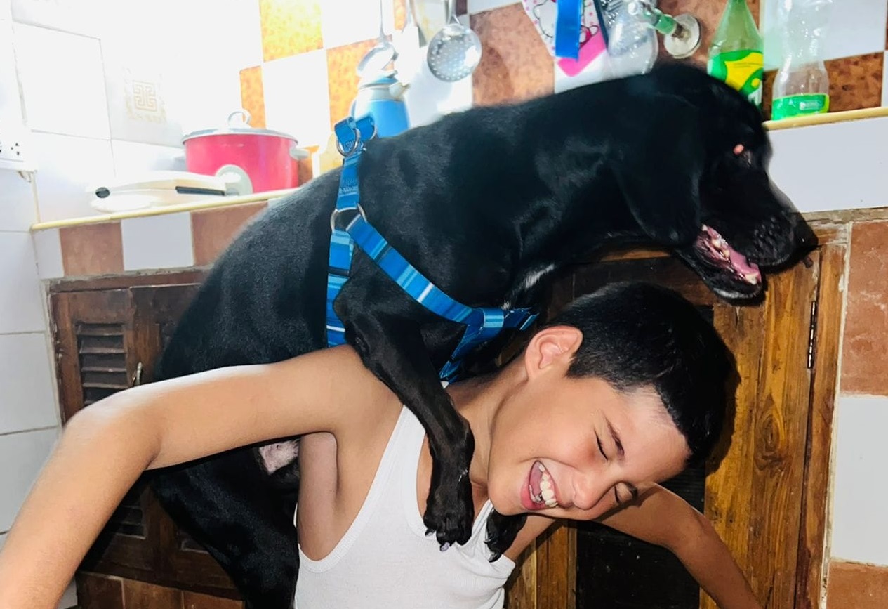 Regresa con su familia un perrito rescatado entre los escombros de la explosión del hotel Saratoga