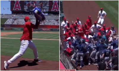 Gigantesca bronca en la MLB involucra al cubano Raisel iglesias de los Angelinos