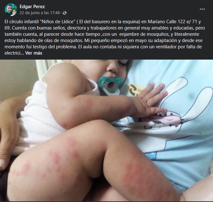 Plaga de mosquitos en circulo infantil de La Habana