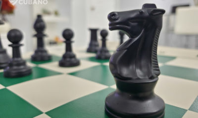 Brazo robótico rompe el dedo de un niño ruso en una partida de ajedrez