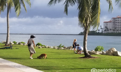 Miami está entre las ciudades de EEUU con mayor tasa de divorcios