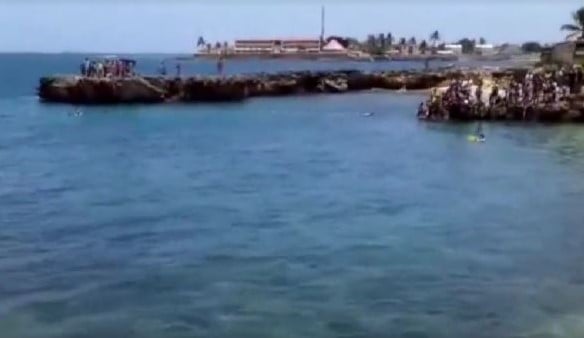Delfines se van de Cuba