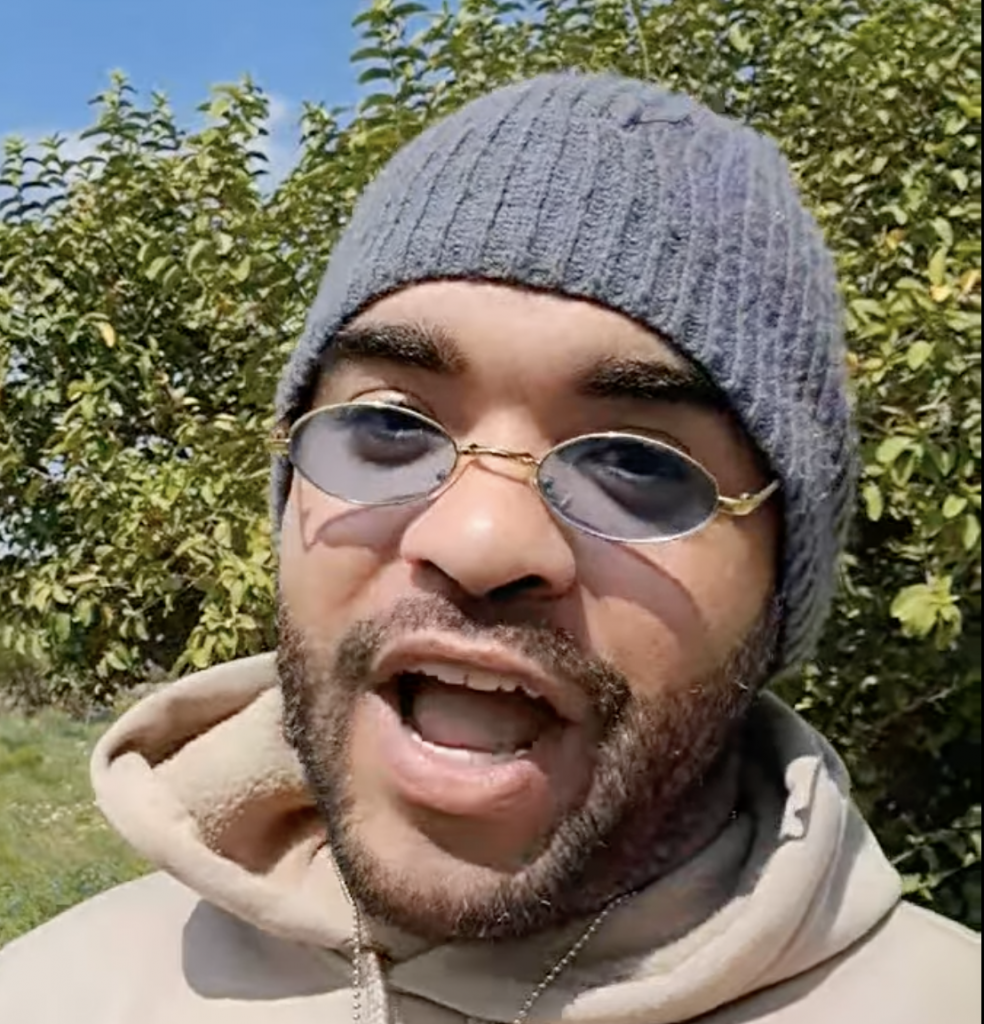 Abeja memes de cumpleaños