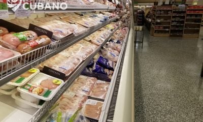Régimen cubano está listo para comprar pollo a tres empresas colombianas