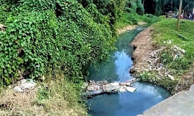 Río del Cotorro