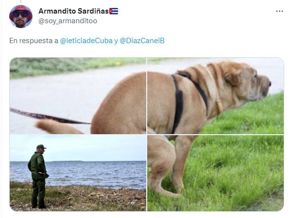 Diaz-Canel meme frente al mar