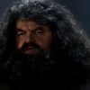 Fallece Robbie Coltrane encarnó a Hagrid en Harry Potter
