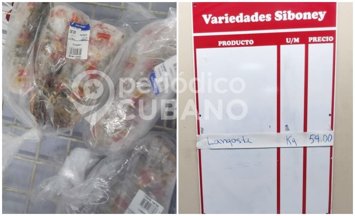 Tienda en MLC de Villa Clara solo oferta langostas a tres veces el salario mínimo por cada kilo (2)