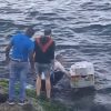 Lanzan barco de papel al Malecón-Captura de pantalla