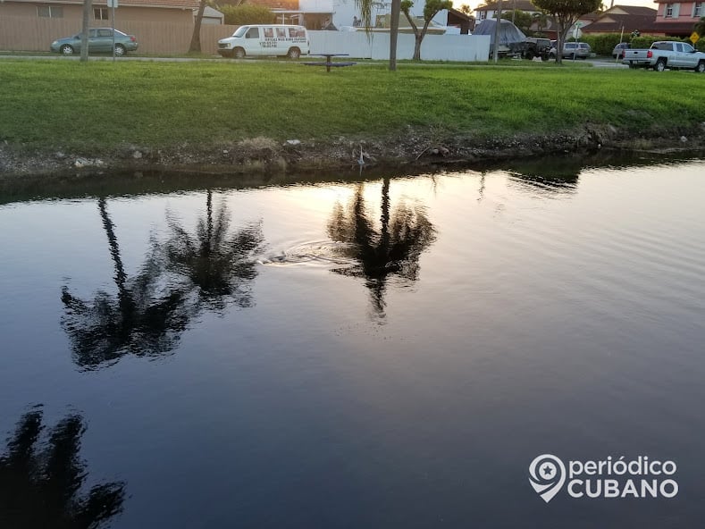 Así rescataron a una mujer que cayó con su automóvil a un canal de Miami-Dade