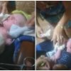 Encuentran a una bebé recién nacida abandonada en un barrio de Alquízar, provincia de Mayabeque