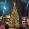 Árbol de Navidad