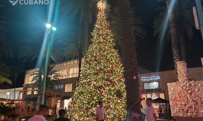 Árbol de Navidad