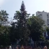 Arbol de Navidad en La Habana