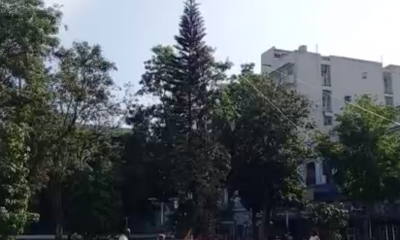 Arbol de Navidad en La Habana