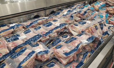 Descienden en más de un tercio las exportaciones de pollo estadounidense en Cuba durante octubre