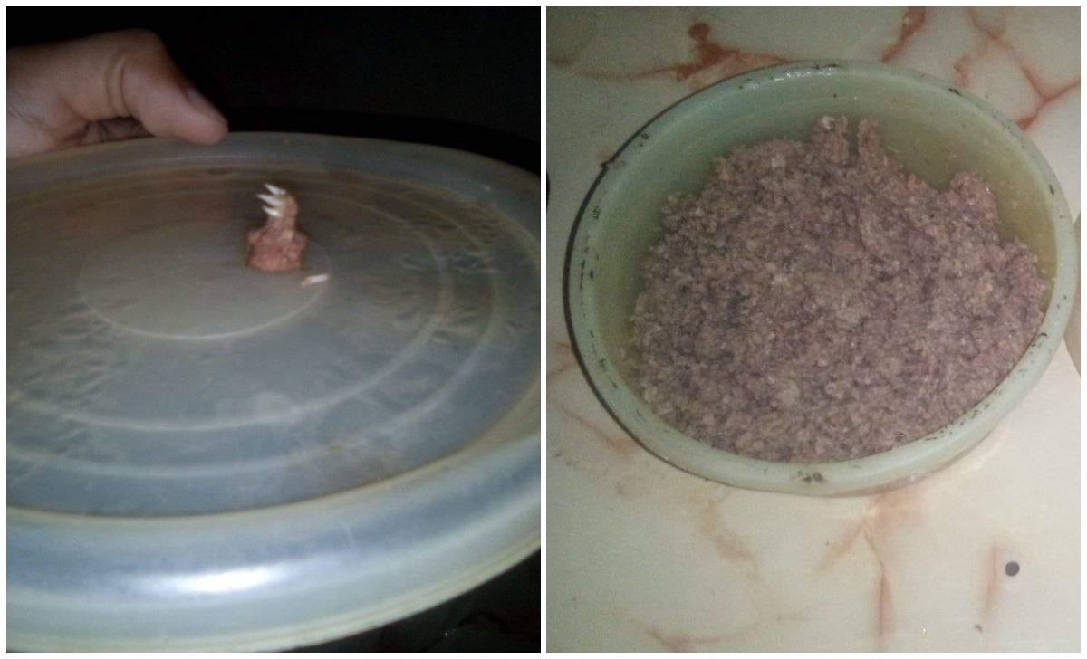 Paciente con VIH encuentra una “cosa rara” en el picadillo vendido por el gobierno cubano