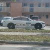 Policía de Hialeah solicita ayuda para encontrar a sospechoso de un atropellamiento