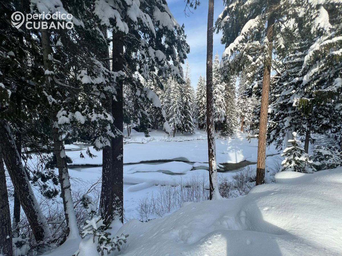 Tormenta invernal en EEUU provoca 24 muertos (3)