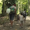 Cuba ocupa el cuarto lugar en cantidad de migrantes que cruzaron la selva del Darién en 2022