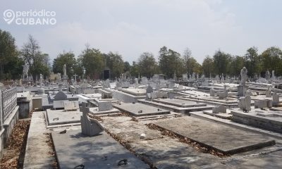 Denuncia profanación de tumbas en cementerio de Matanzas “parece que les cogieron las cabezas y las articulaciones” (3)