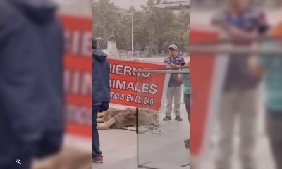 Inédito Protestan frente a la sede del gobierno de Chile con un león muerto
