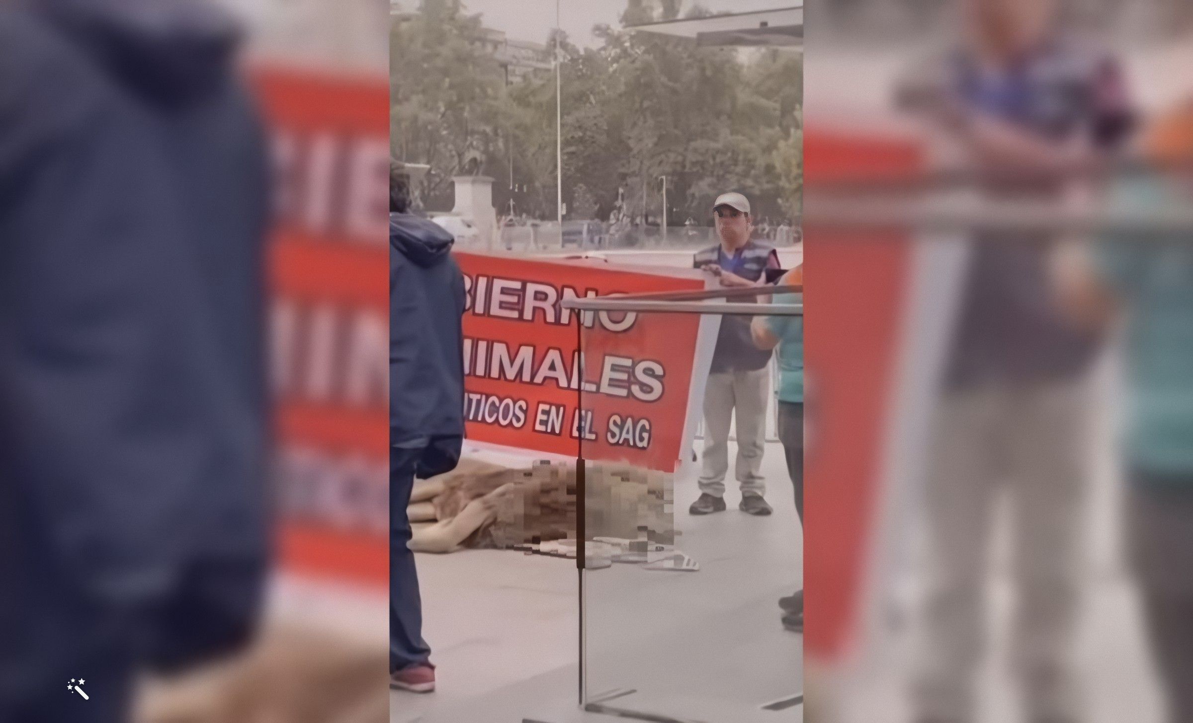 Inédito Protestan frente la sede del gobierno de Chile con un león muerto
