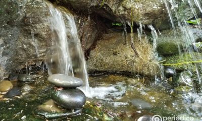 Río con piedras en el agua