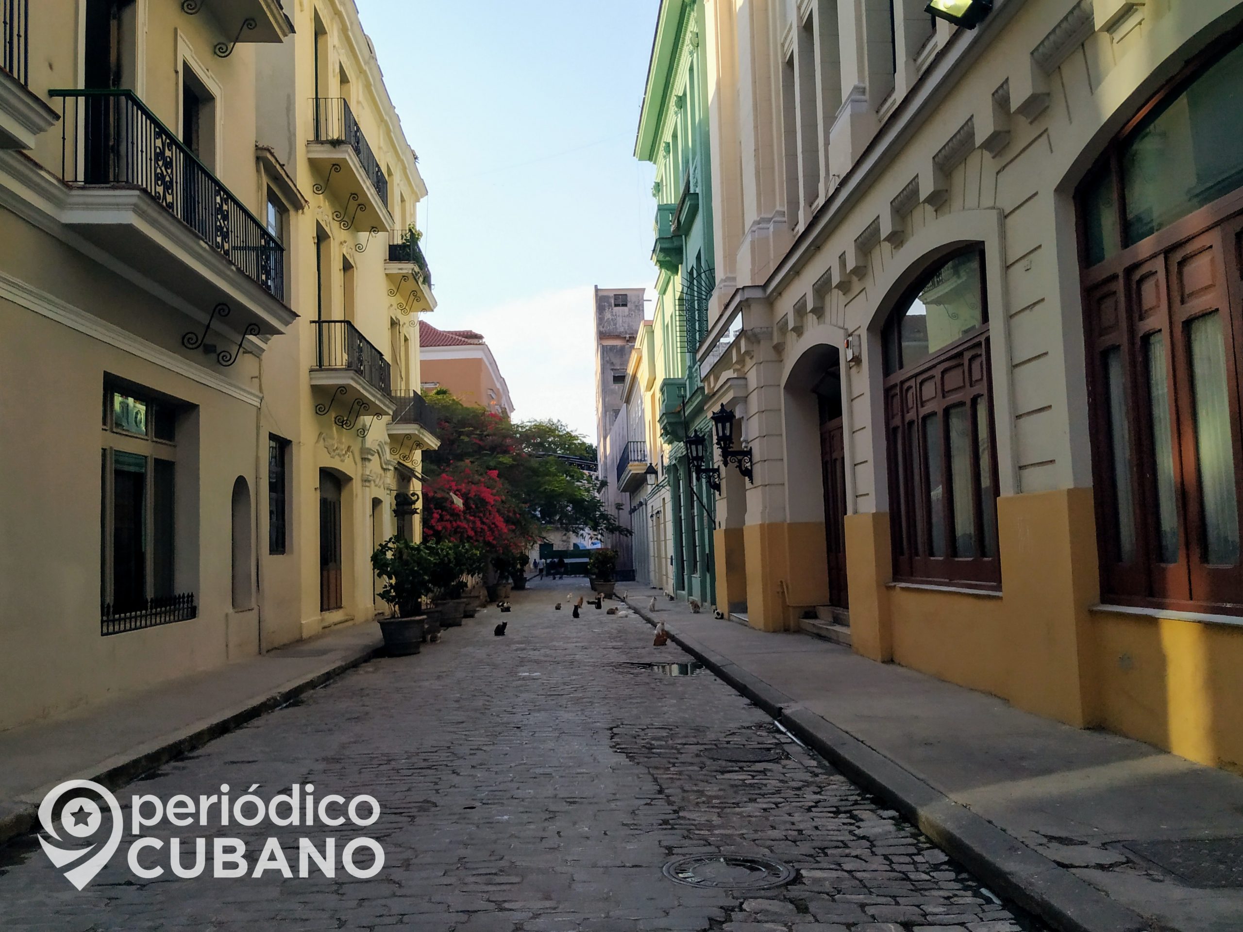 ¡Chifló el mono en Cuba! Los termómetros bajaron cerca de los 6 grados Celsius