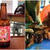Anuncian inversiones extranjeras para reactivar la cervecería Tínima y la producción de pepino de mar