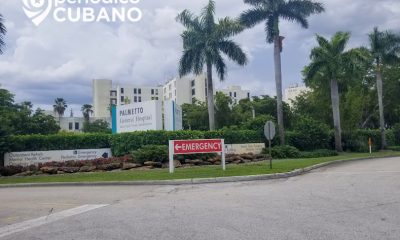 Buscan a responsable de un mortal atropellamiento a las afueras del Hospital de Palmetto en Hialeah