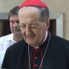 Cardenal Beniamino Stella
