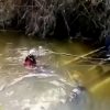 Encuentran a 14 migrantes muertos tras la volcadura de una camioneta en un río de México (2)