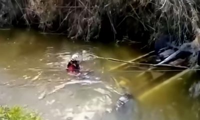 Encuentran a 14 migrantes muertos tras la volcadura de una camioneta en un río de México (2)