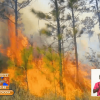 Incendio desata el caos en Holguín: más de 1.300 hectáreas arrasadas por las llamas