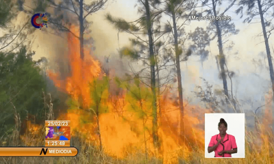 Incendio desata el caos en Holguín: más de 1.300 hectáreas arrasadas por las llamas