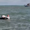 Isabela de Sagua el “poblado fantasma” donde mayor cantidad de balseros emigran a EEUU (2)