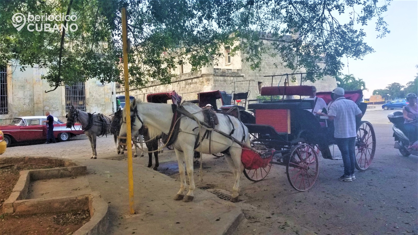 No solo las vacas, los caballos también son objeto del descomunal hurto y sacrificio