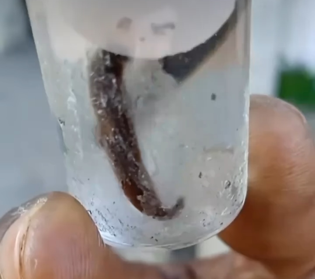 Sangujielas en el agua-Captura de pantalla-Cubanos por el Mundo-Instagram