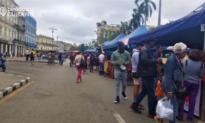 Una veintena de empresas estatales de La Habana tienen pérdidas e incumplen plan producción de alimentos