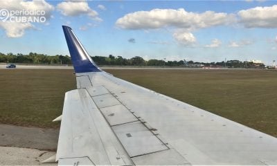 ¿Cuán frecuentes son los choques de aviones contra aves y qué medidas hay para evitarlos