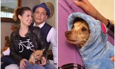 Alexis y Claudia Valdés se despiden de su mascota