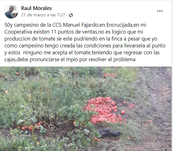 “A quienes representan los organismos políticos que no se han pronunciado ante los tomates que se echaron a perder por su responsabilidad, los culpo”. (Foto. Raúl Morales - Facebook) 