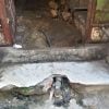 Gobierno culpa a los campesinos de Villa Clara por la falta de agua tras pinchazos a la conductora Hanabanilla