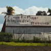 Heredero de la familia Robaina solo ha recuperado el 30% de la plantación de tabaco destruida por huracán