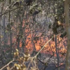 Incendio-bomberos- Pinar del Río-Captura de pantalla-TelePinar-YouTube
