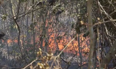 Incendio-bomberos- Pinar del Río-Captura de pantalla-TelePinar-YouTube