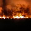 Incendio de grandes proporciones interrumpe el paso hacia Playa Larga en la Ciénaga de Zapata