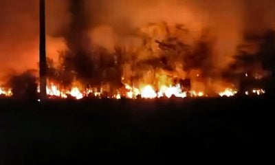 Incendio de grandes proporciones interrumpe el paso hacia Playa Larga en la Ciénaga de Zapata