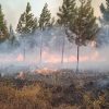 Incendio en Holguín devora 5.000 hectáreas, daños tardarán 40 años en resarcirse